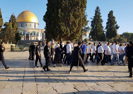 أبو ردينة: اقتحامات الأقصى أصبحت غزوا وليست زيارة