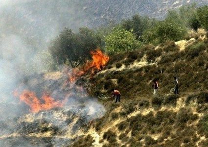 مستوطنون يحرقون أراضي زراعية ويهاجمون منازل جنوب نابلس