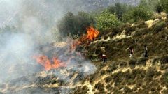 مستوطنون يحرقون أراضي زراعية ويهاجمون منازل جنوب نابلس