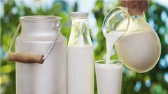 خطر تناول الألبان بكثرة