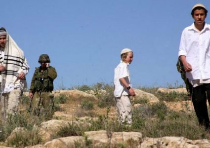 مستوطنون يعتدون بالضرب على راعي أغنام في مسافر يطا