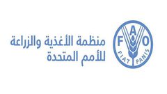 الفاو: 19 مليون إنسان مهددون بالجوع العام المقبل.