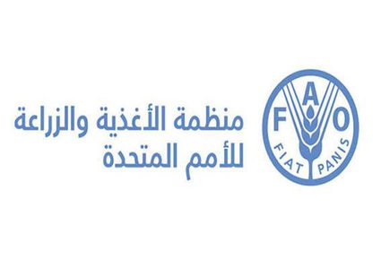 الفاو: 19 مليون إنسان مهددون بالجوع العام المقبل.