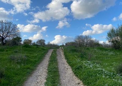 حالة الطقس: أجواء لطيفة والحرارة ادنى من معدلها بثلاث درجات