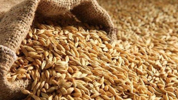 الأمم المتحدة تدعو إلى عدم فرض قيود على تصدير المواد الغذائية في العالم