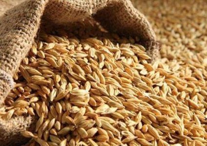 الأمم المتحدة تدعو إلى عدم فرض قيود على تصدير المواد الغذائية في العالم