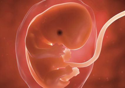 تجارب طبية تكشف هوية دواء يتسبب بارتفاع نسب تشوهات الأجنة