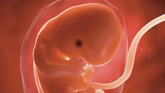 تجارب طبية تكشف هوية دواء يتسبب بارتفاع نسب تشوهات الأجنة