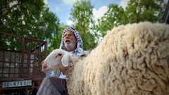 سوق المواشي الأسبوعي في محافظة خان يونس جنوبي قطاع غزة يشهد انتعاش محدود في بيع وشراء الأضاحي