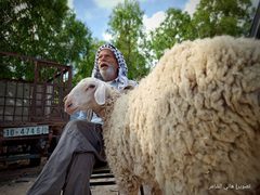سوق المواشي الأسبوعي في محافظة خان يونس جنوبي قطاع غزة يشهد انتعاش محدود في بيع وشراء الأضاحي