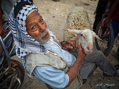 سوق المواشي الأسبوعي في محافظة خان يونس جنوبي قطاع غزة يشهد انتعاش محدود في بيع وشراء الأضاحي