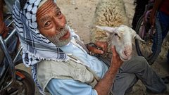 سوق المواشي الأسبوعي في محافظة خان يونس جنوبي قطاع غزة يشهد انتعاش محدود في بيع وشراء الأضاحي