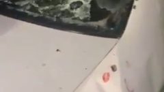 3 شهداء و8 إصابات برصاص الاحتلال في جنين