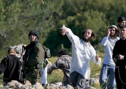 مستوطنون يعتدون على مواطن ويصيبونه بجروح ويهاجمون منازل في الخليل