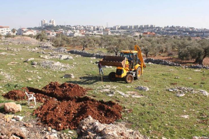 مستوطن يجرف أراضي في بلدو كيسان شرق بيت لحم