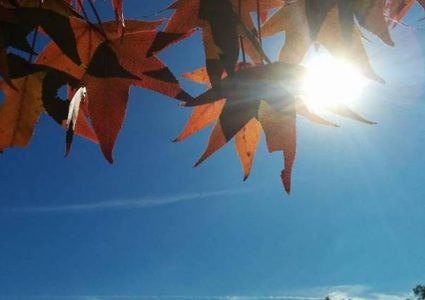 الطقس: أجواء غائمة جزئيا والحرارة أقل من معدلها العام