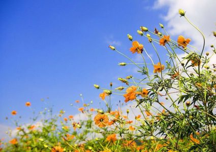 حالة الطقس: درجات الحرارة حول معدلها السنوي