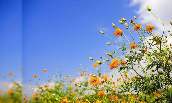 حالة الطقس: درجات الحرارة حول معدلها السنوي