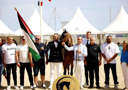 "مربط الشيخ" يحصد الذهب في بطولة "منتون" لجمال الخيل العربية الأصيلة