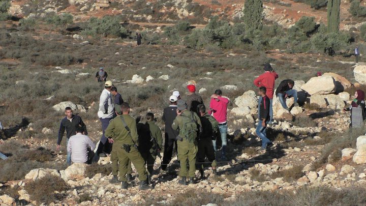 مستوطنون يدمرون محاصيل زراعية في بلدة حلحول شمال الخليل