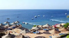 وفاة امرأة هاجمتها سمكة قرش في شرم الشيخ