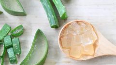 7 مكونات نباتية تروي البشرة والشعر