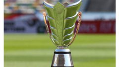 مسؤول يستبعد استضافة أستراليا لكأس آسيا 2023