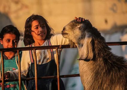 كيف سيكون موسم الأضاحي في قطاع غزة هذا العام؟