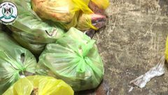 ضبط لحوم غير صالحة للاستهلاك الآدمي في نابلس