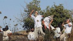 مستوطنون يعتدون على عائلة الهريني بمسافر يطا