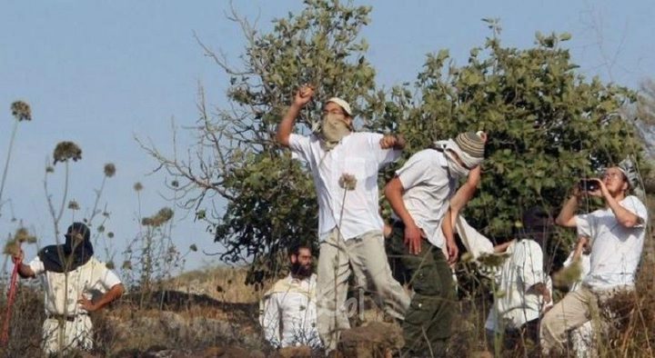 مستوطنون يعتدون على عائلة الهريني بمسافر يطا