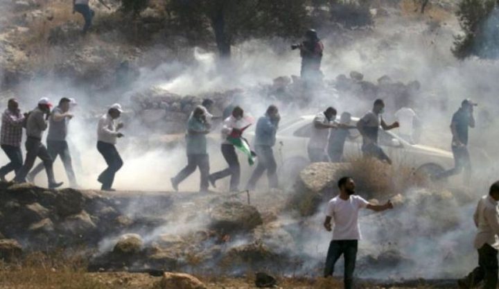 إصابات بالاختناق خلال مواجهات مع الاحتلال في بيتا وبيت دجن