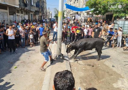 عشرات الإصابات بينها حالات متوسطة نتيجة عمليات ذبح الأضاحي بغزة