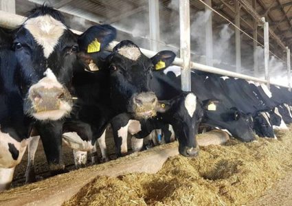 اسرائيل تلغي الضريبة الجمركية على استيراد اللحوم