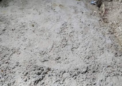 شاب يقتل والده ويسلم نفسه