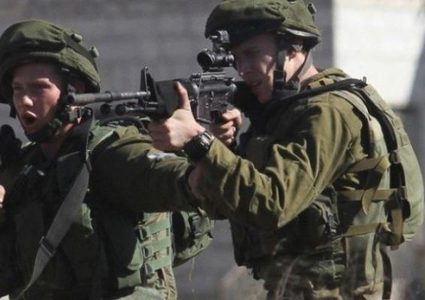 الاحتلال يعتقل ثلاثة مواطنين من فصايل شمال أريحا