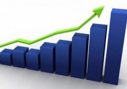 "الإحصاء": الوقود والغذاء يرفعان التضخم في حزيران