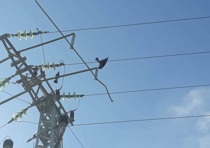 ملحم:  القرار النهائي حول رفع أو عدم رفع سعر الكهرباء لم يتخذ بعد