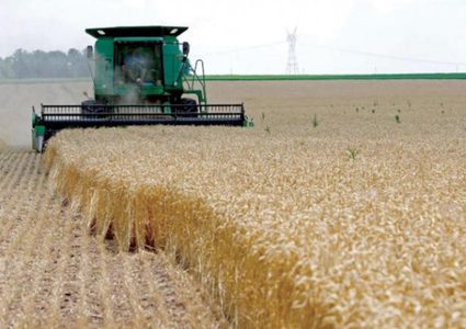 هذا العام- روسيا تتوقع تصدير 37 مليون طن من الحبوب