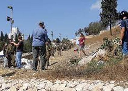 مستوطنون يتلفون عشرات أشجار الكرمة بعد رشها بمواد سامة