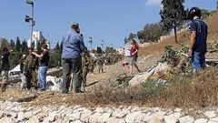 مستوطنون يتلفون عشرات أشجار الكرمة بعد رشها بمواد سامة