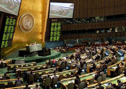 المجلس الاقتصادي والاجتماعي للأمم المتحدة يعتمد قرارين لصالح فلسطين