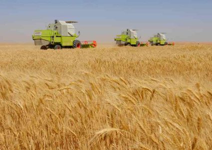 أوكرانيا تعلن موعد انطلاق أول شحنة حبوب