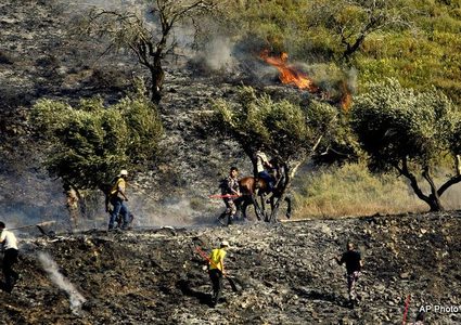 مستوطنون يضرمون النار في أراض زراعية غرب سلفيت