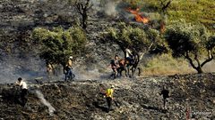مستوطنون يضرمون النار في أراض زراعية غرب سلفيت