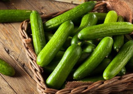 تعرف على الفوائد السحرية لتناول الخيار يوميًا