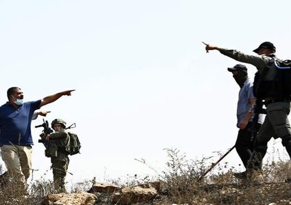 مستوطنون يعتدون على المزارعين ويتلفون محاصيلهم في مسافر يطا جنوب الخليل