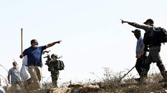 مستوطنون يعتدون على المزارعين ويتلفون محاصيلهم في مسافر يطا جنوب الخليل