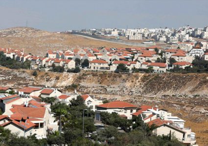 الهباش يحذّر من مخطط استيطاني في باب المغاربة