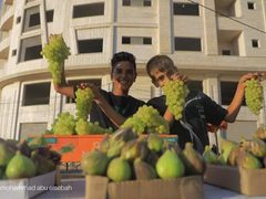التين والعنب في سوق الشيخ عجلين الموسمي غرب غزة